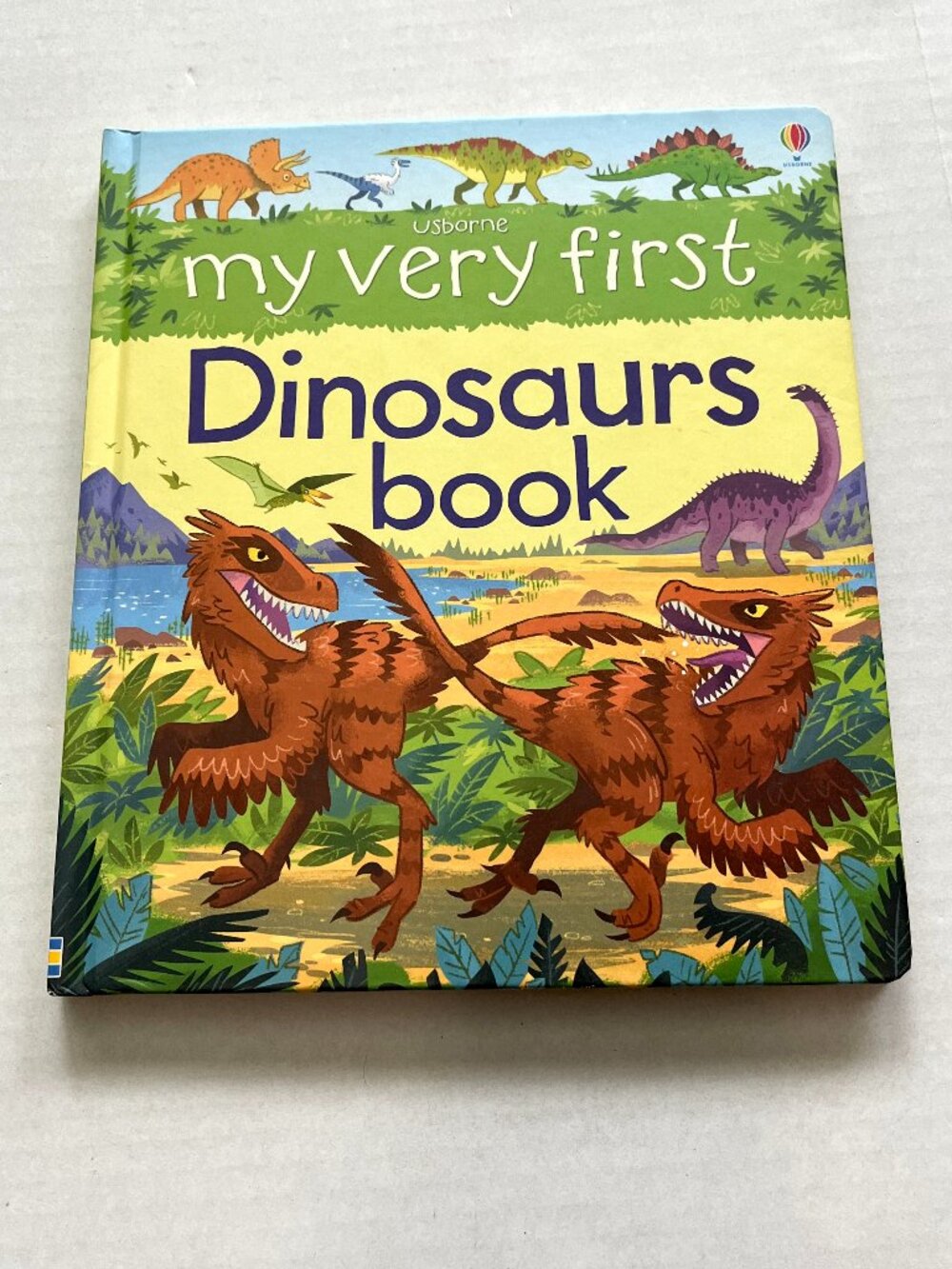 Usborne My Very First Dinosaurs Book